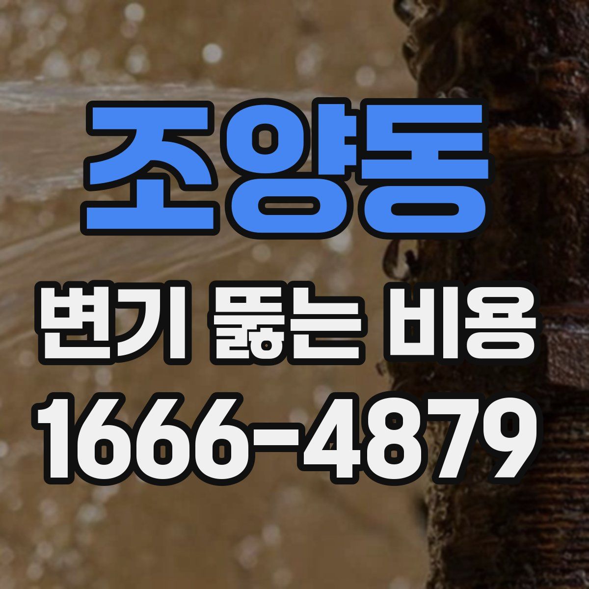 조양동 변기 뚫는 비용