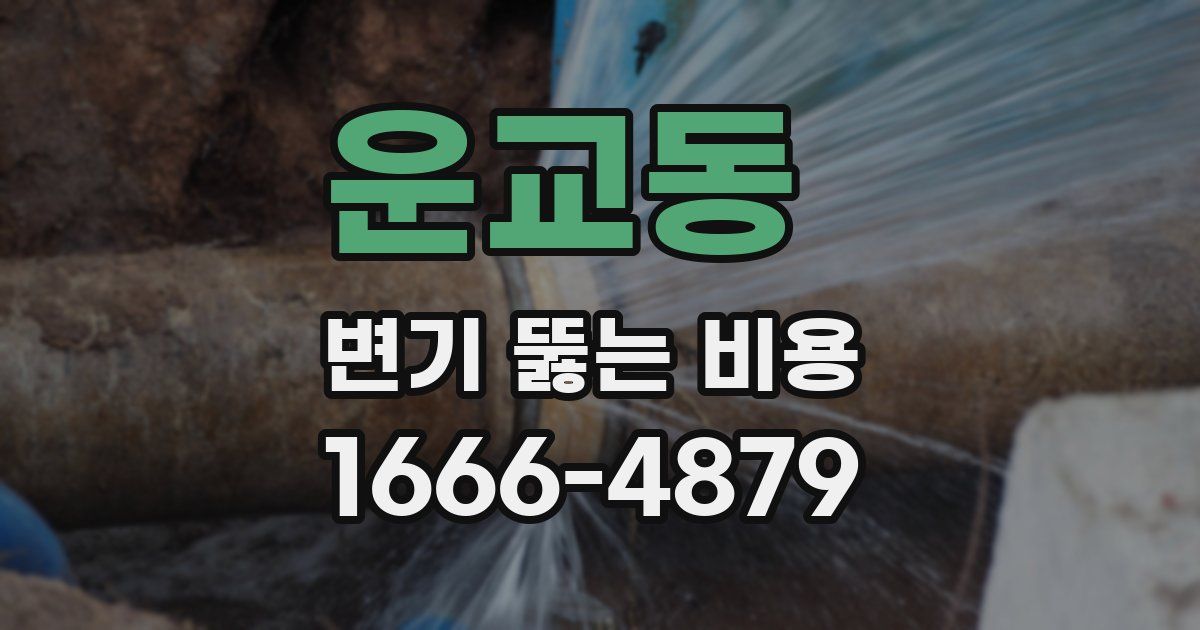 운교동 변기 뚫는 비용