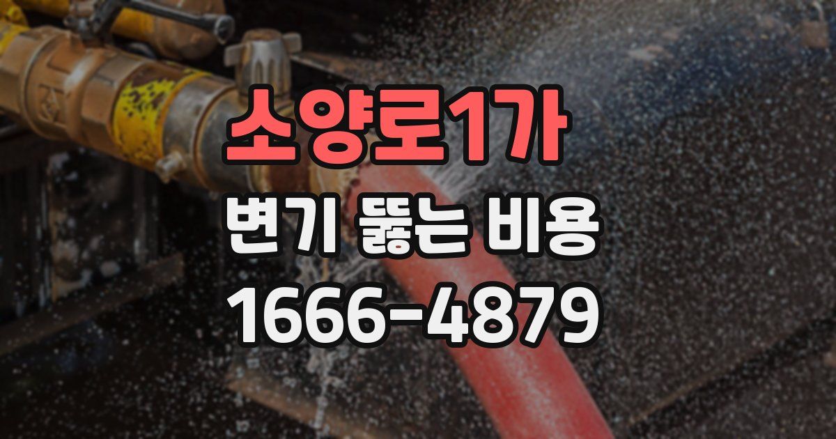 소양로1가 변기 뚫는 비용