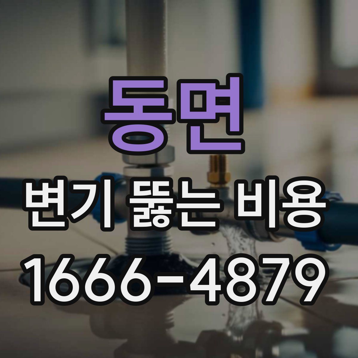 동면 변기 뚫는 비용