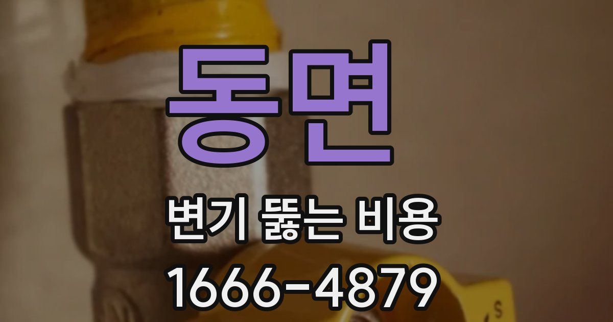 동면 변기 뚫는 비용