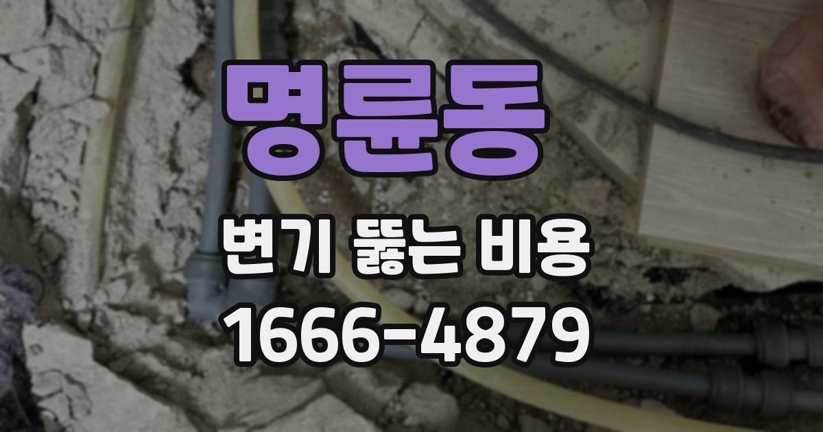 명륜동 변기 뚫는 비용