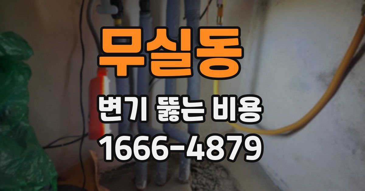 무실동 변기 뚫는 비용