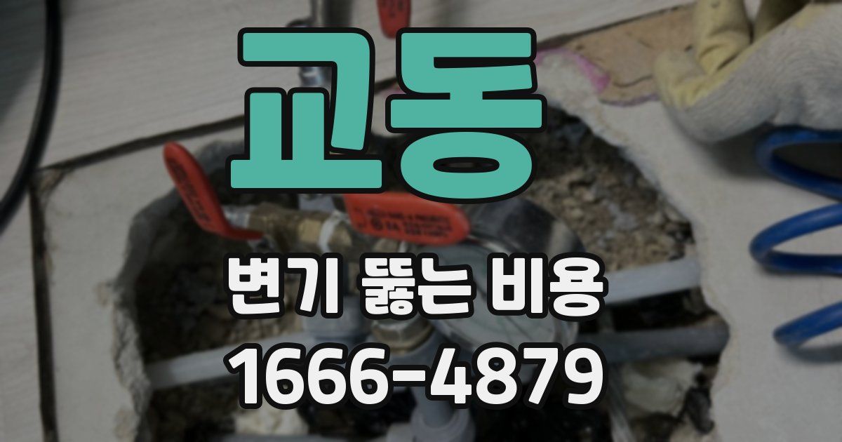 교동 변기 뚫는 비용