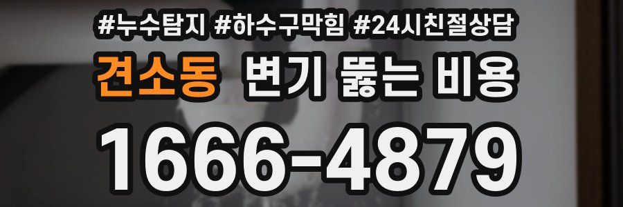 견소동 변기 뚫는 비용