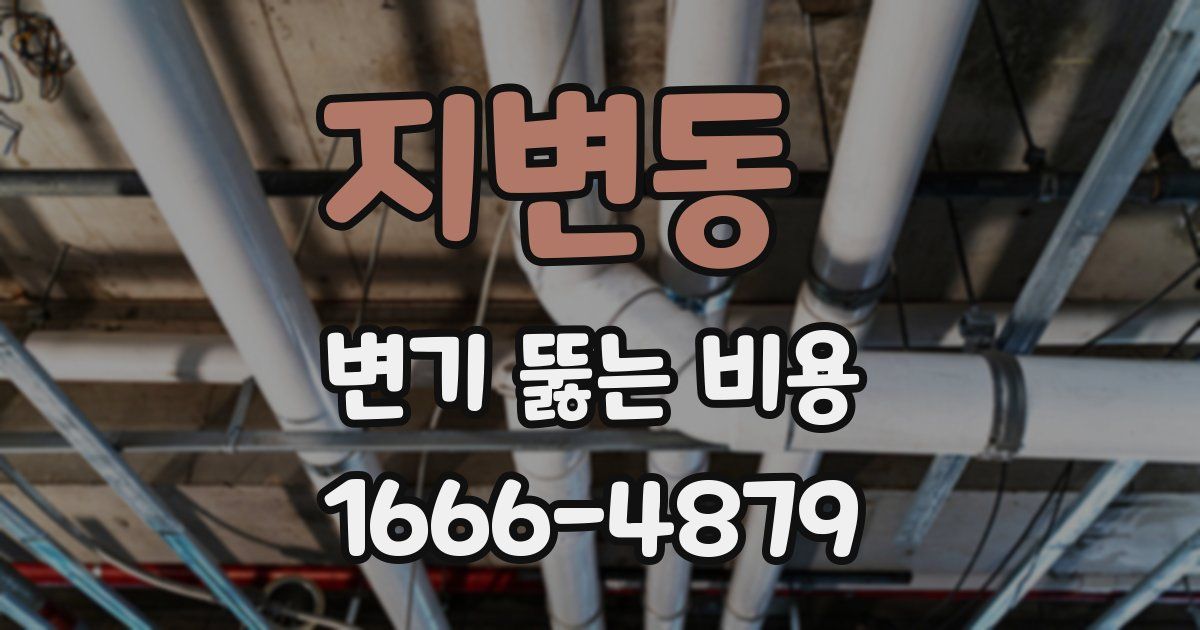 지변동 변기 뚫는 비용