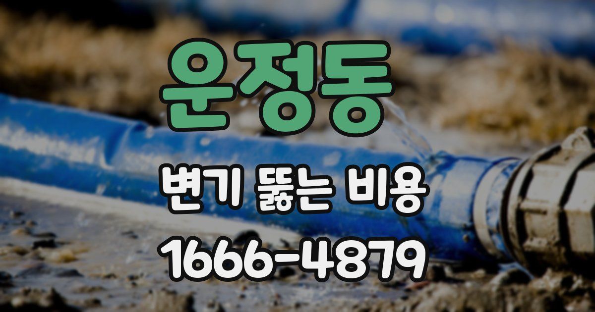 운정동 변기 뚫는 비용
