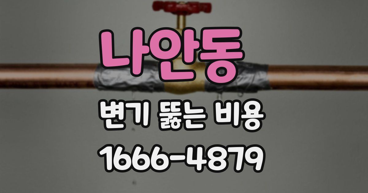 나안동 변기 뚫는 비용