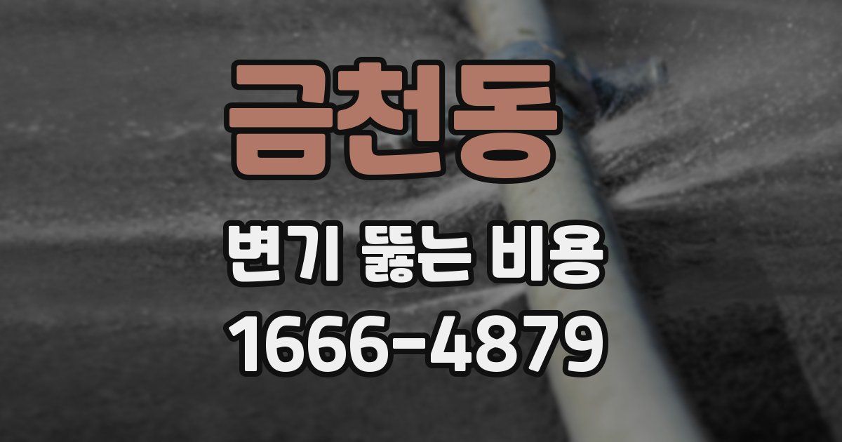 금천동 변기 뚫는 비용