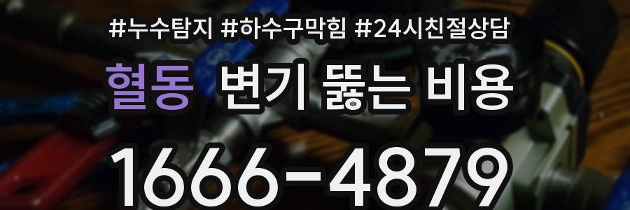 혈동 변기 뚫는 비용