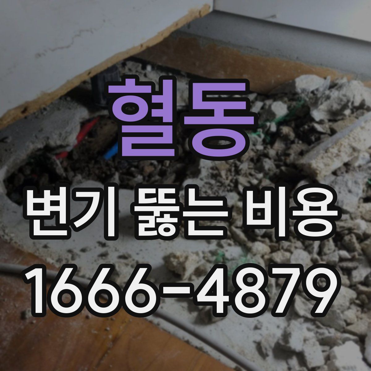 혈동 변기 뚫는 비용