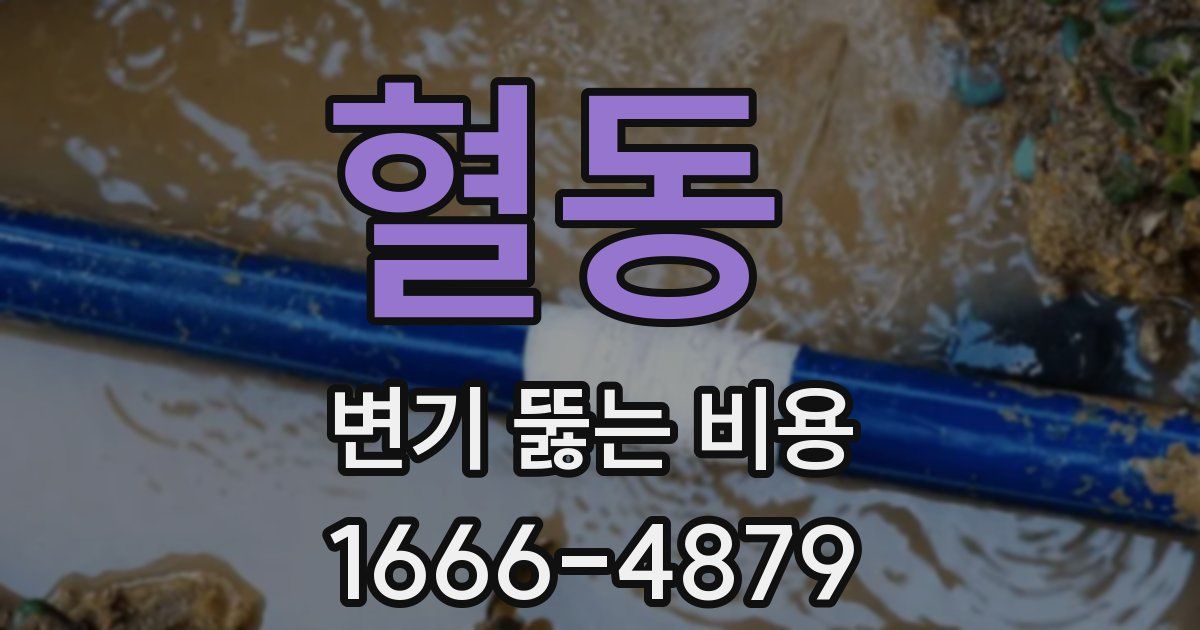 혈동 변기 뚫는 비용