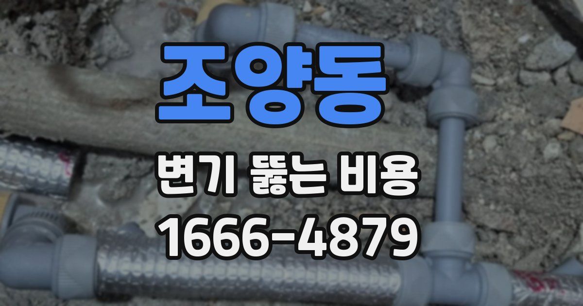 조양동 변기 뚫는 비용