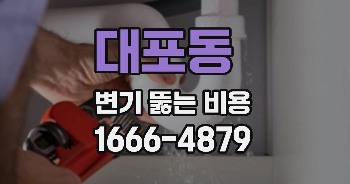 대포동 변기 뚫는 비용