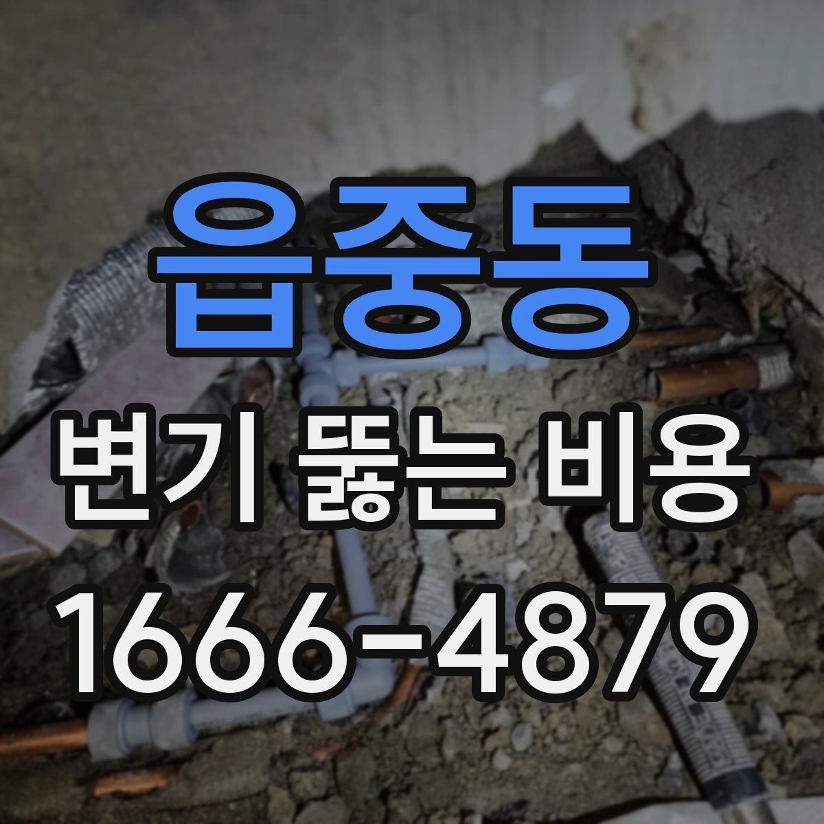 읍중동 변기 뚫는 비용