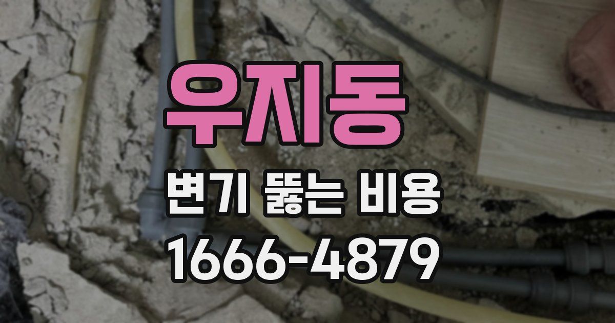 우지동 변기 뚫는 비용