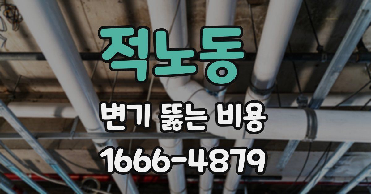 적노동 변기 뚫는 비용