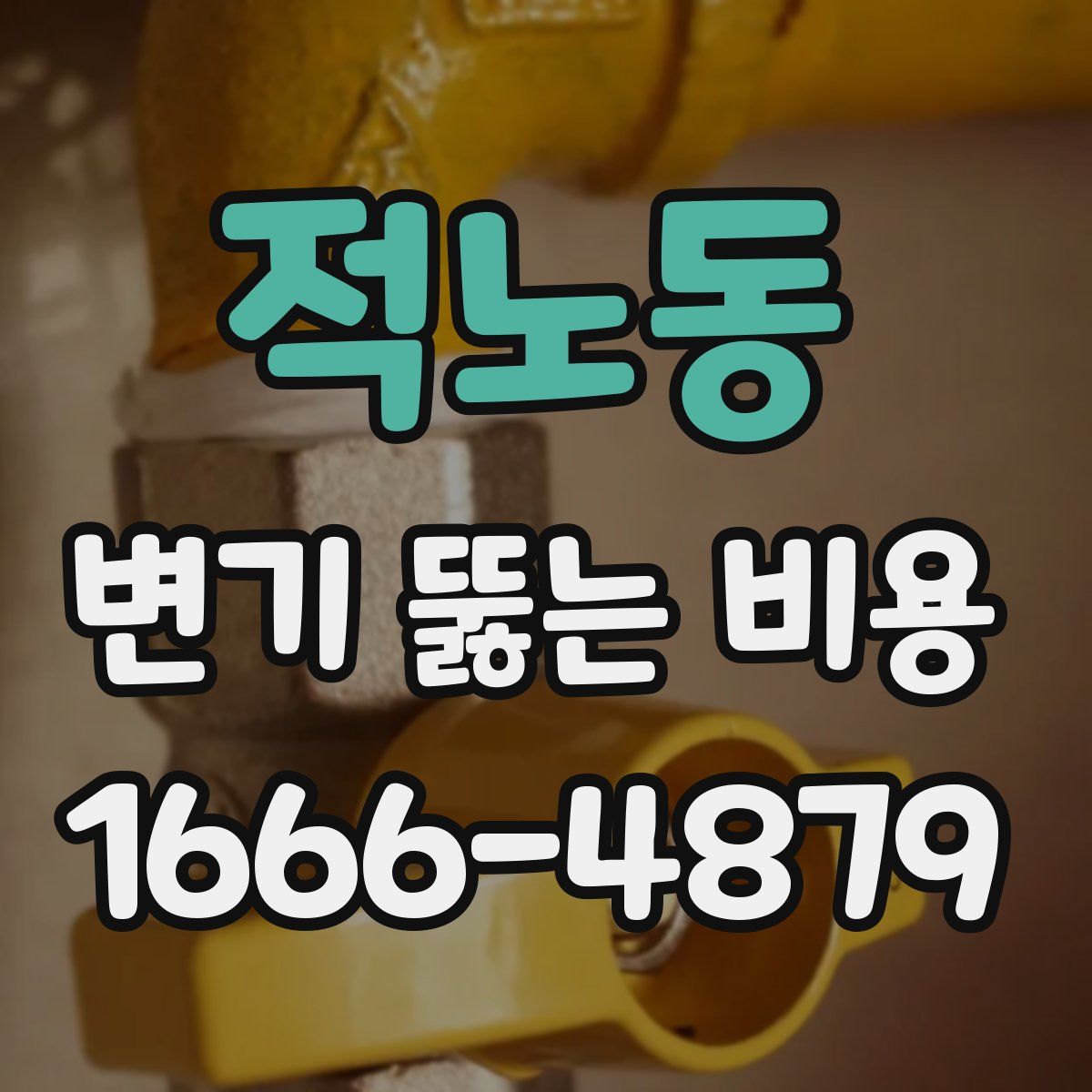 적노동 변기 뚫는 비용