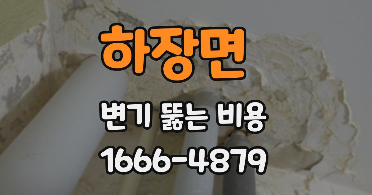 하장면 변기 뚫는 비용