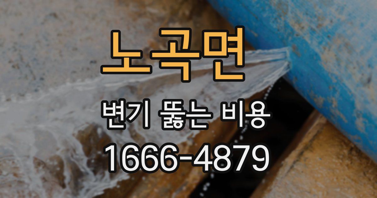 노곡면 변기 뚫는 비용