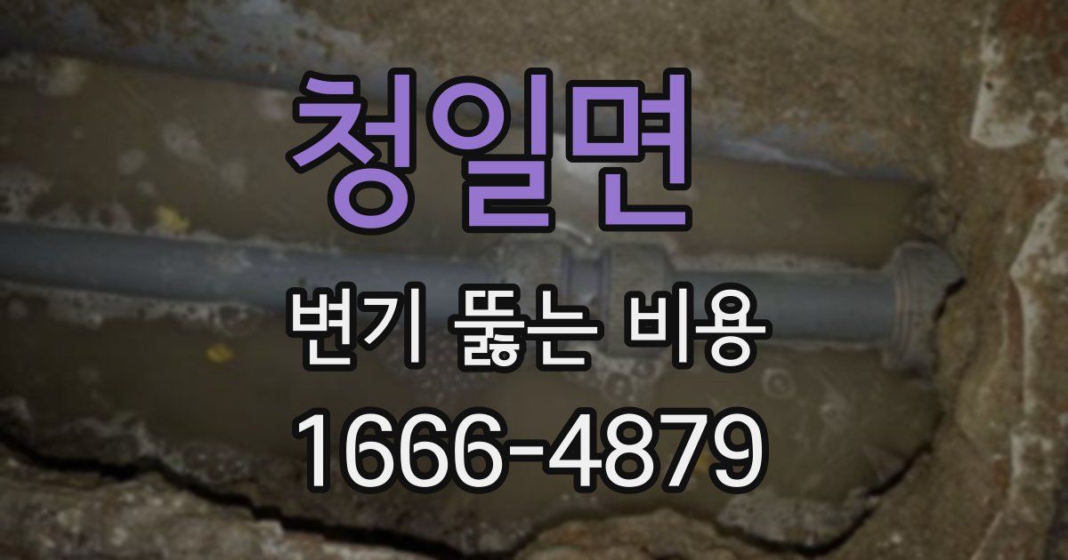 청일면 변기 뚫는 비용