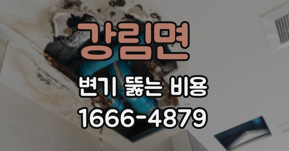 강림면 변기 뚫는 비용