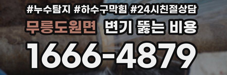 무릉도원면 변기 뚫는 비용