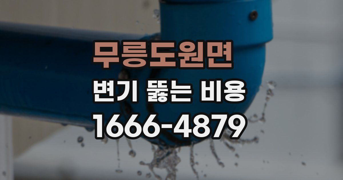 무릉도원면 변기 뚫는 비용