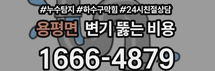 용평면 변기 뚫는 비용