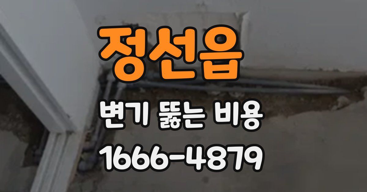 정선읍 변기 뚫는 비용