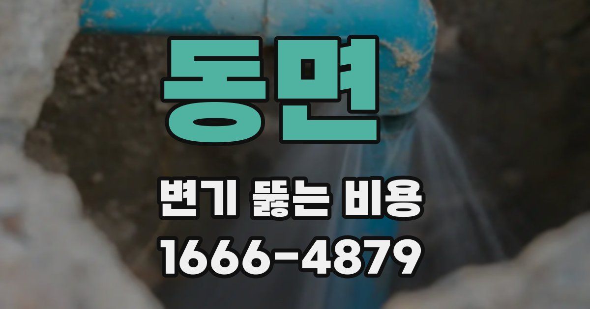 동면 변기 뚫는 비용