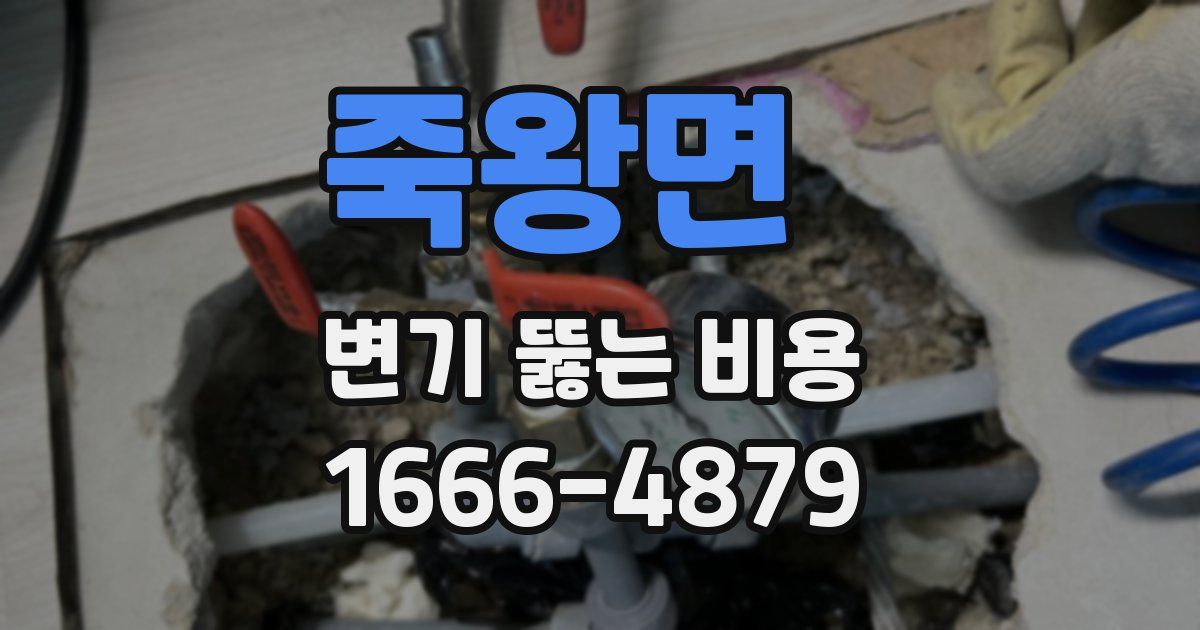 죽왕면 변기 뚫는 비용