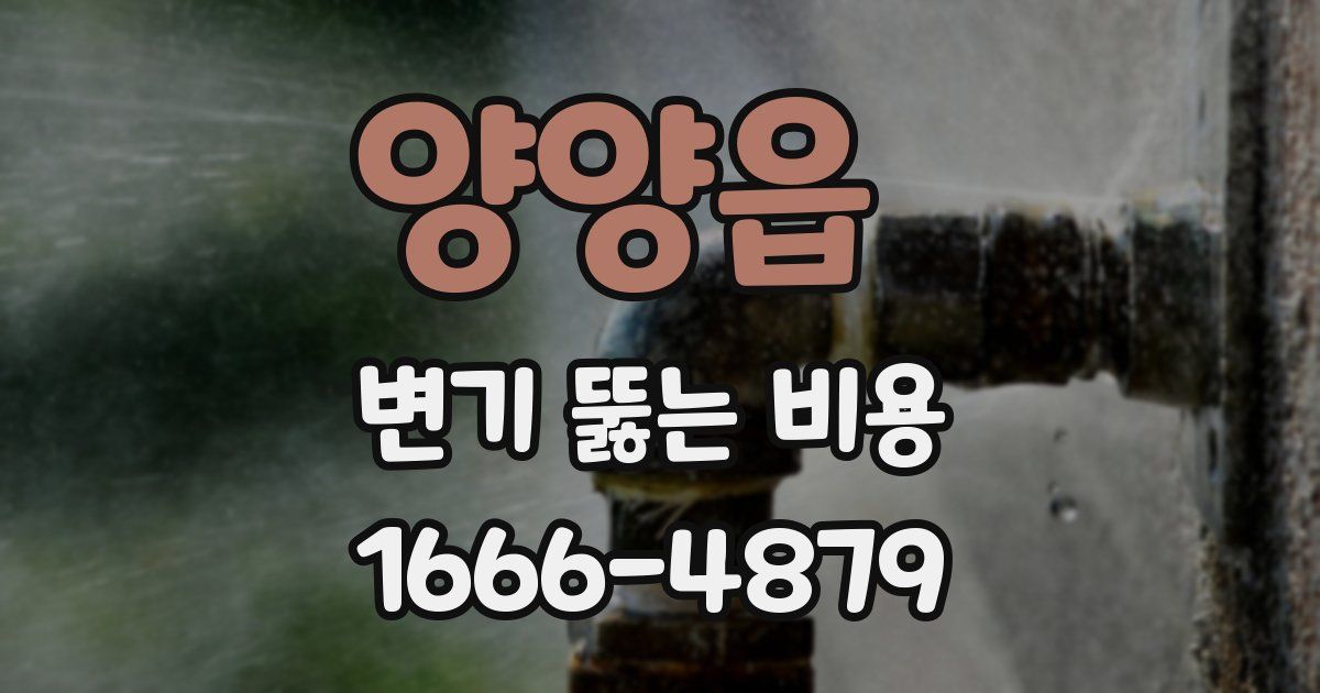 양양읍 변기 뚫는 비용
