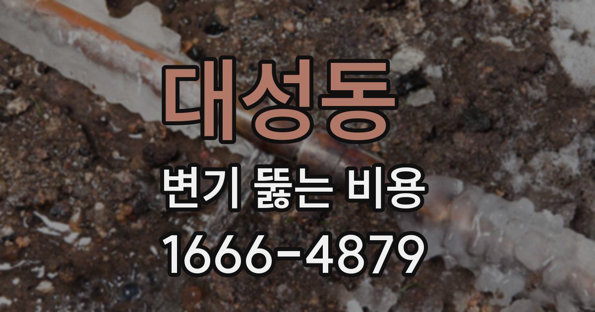 대성동 변기 뚫는 비용