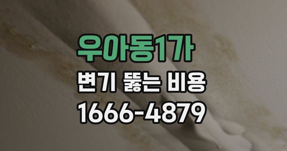 우아동1가 변기 뚫는 비용