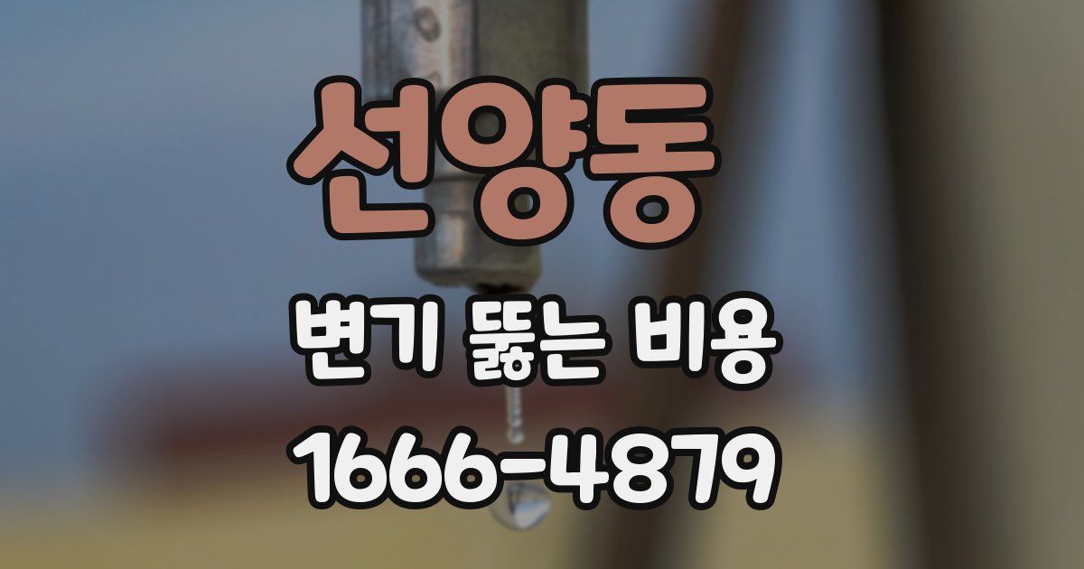 선양동 변기 뚫는 비용