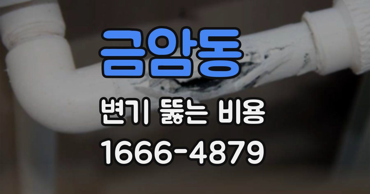 금암동 변기 뚫는 비용