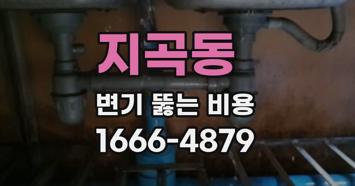 지곡동 변기 뚫는 비용