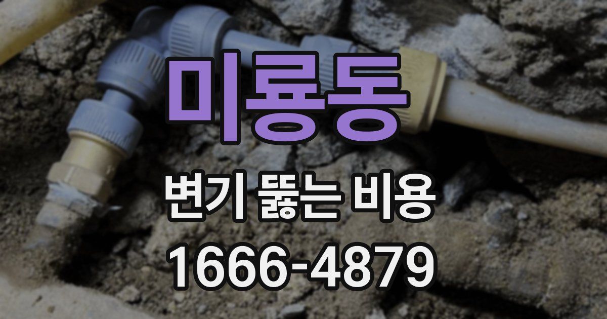 미룡동 변기 뚫는 비용