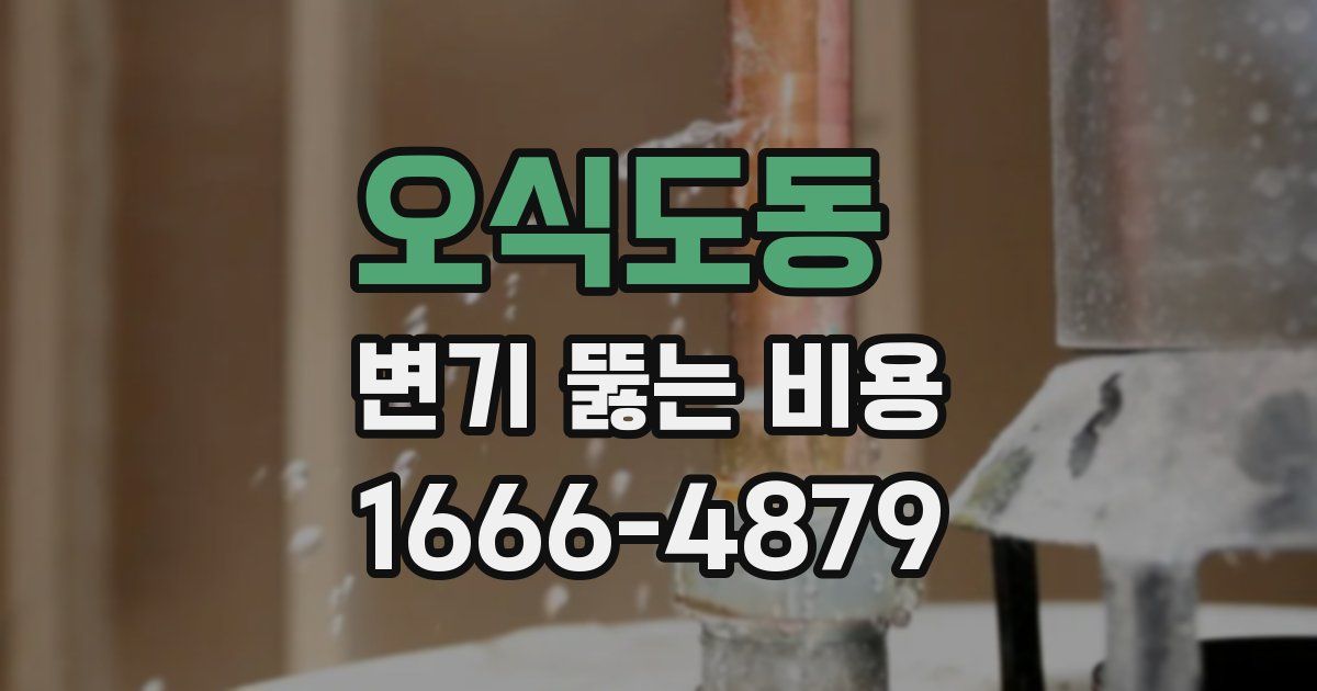 오식도동 변기 뚫는 비용