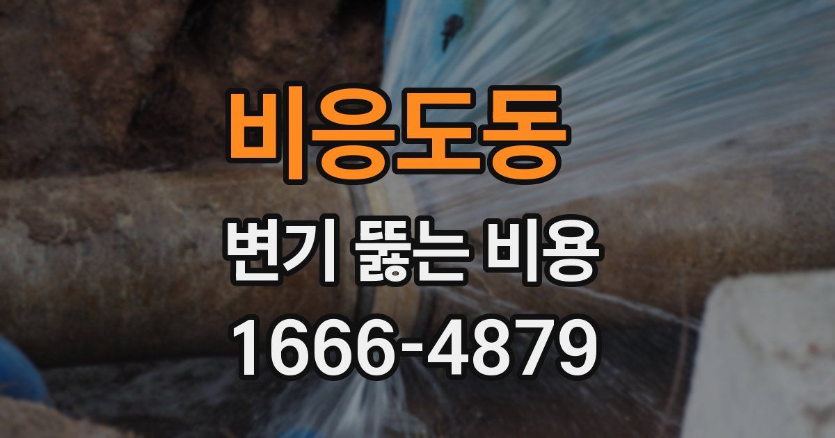 비응도동 변기 뚫는 비용