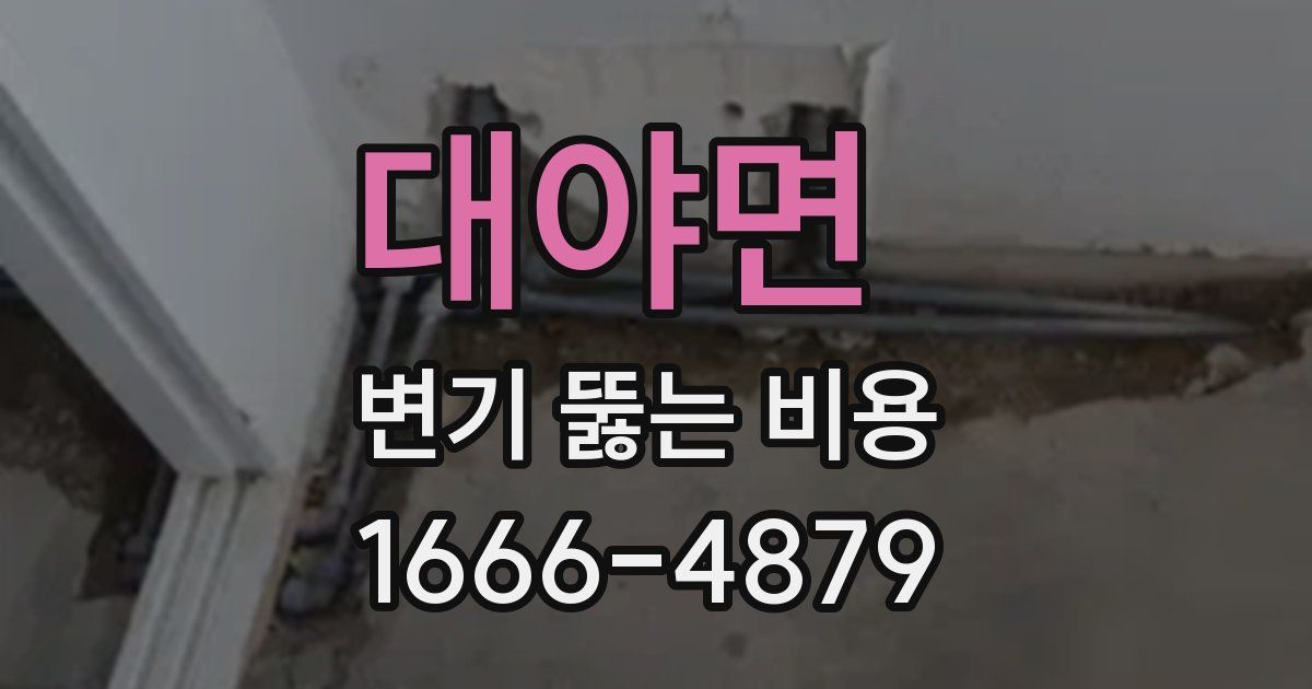 대야면 변기 뚫는 비용