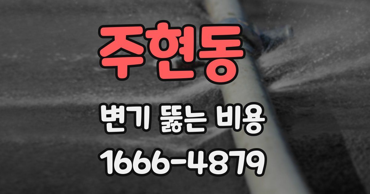 주현동 변기 뚫는 비용