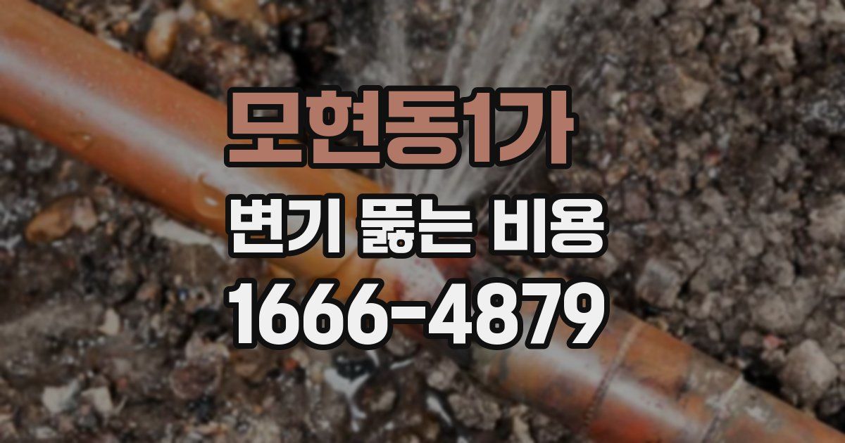 모현동1가 변기 뚫는 비용