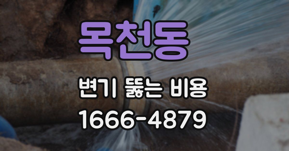 목천동 변기 뚫는 비용