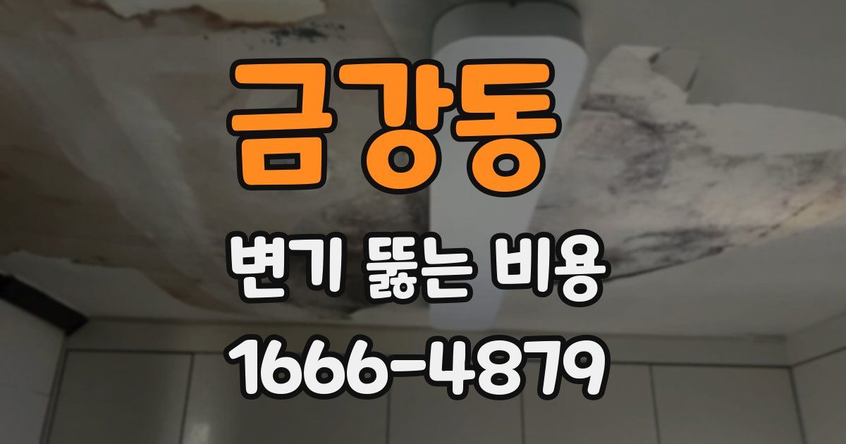 금강동 변기 뚫는 비용