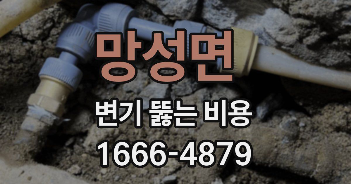 망성면 변기 뚫는 비용