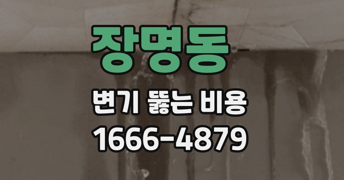 장명동 변기 뚫는 비용