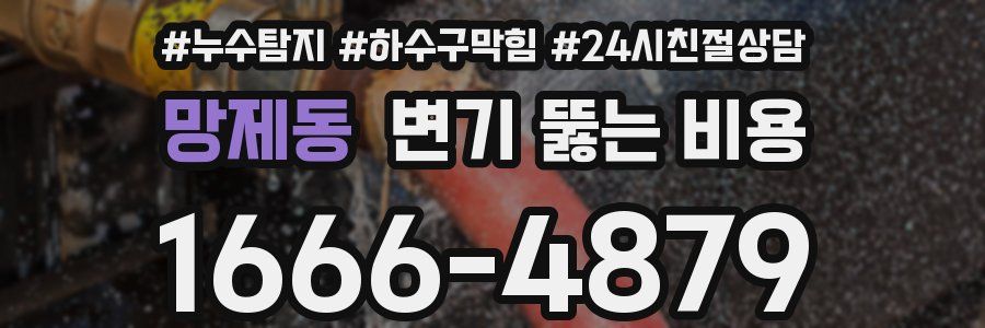 망제동 변기 뚫는 비용