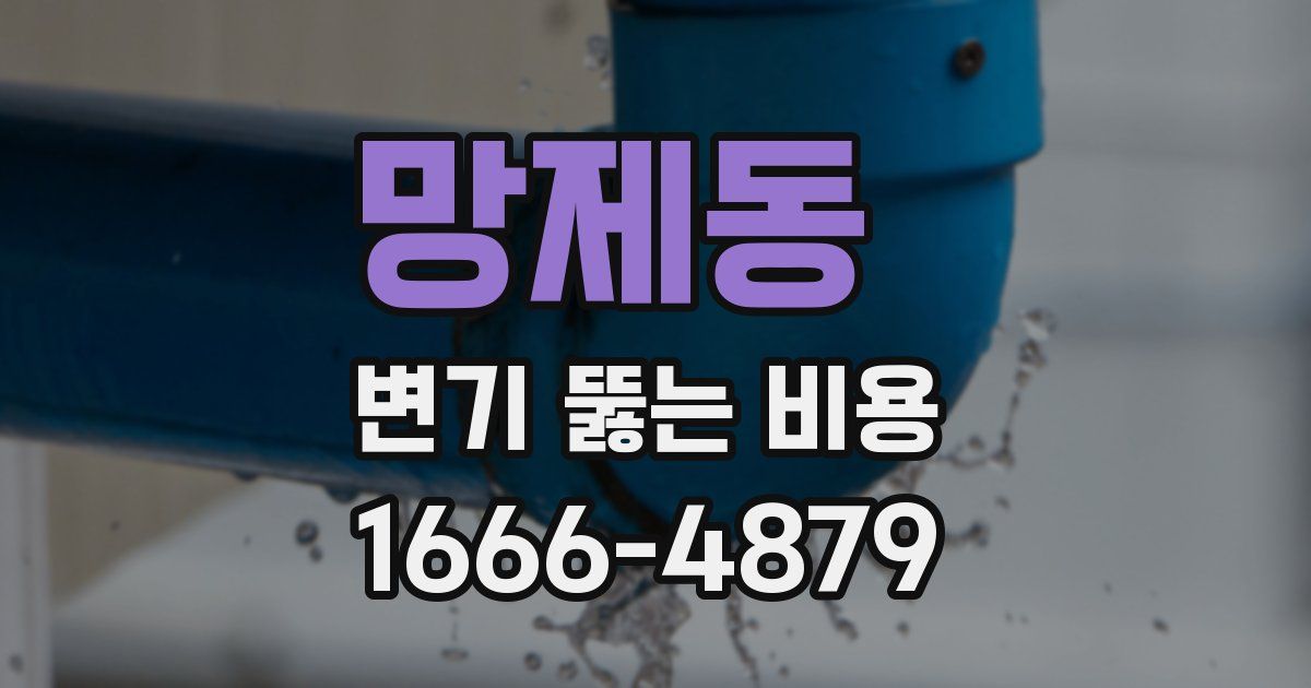 망제동 변기 뚫는 비용